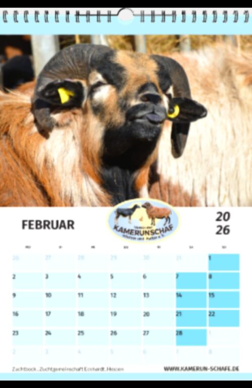 Vereinskalender 2026 – Bild 6