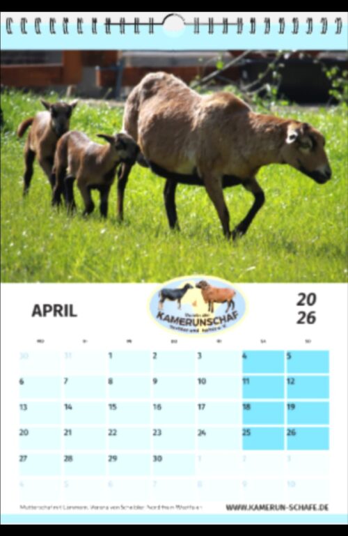 Vereinskalender 2026 – Bild 4
