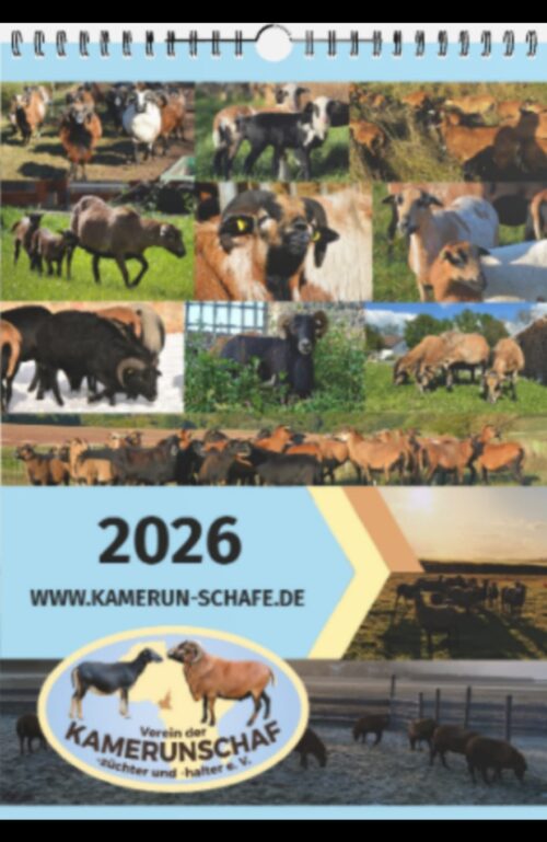 Vereinskalender 2026 – Bild 3